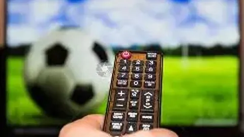 华体会体育 资讯 083808 i3m